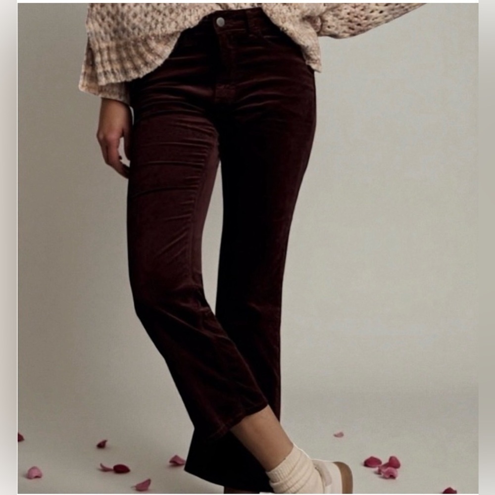 ANTHROPOLOGIE PILCRO The Yaya Cropped Mid-Rise Pants in Wine Velvet Size 29